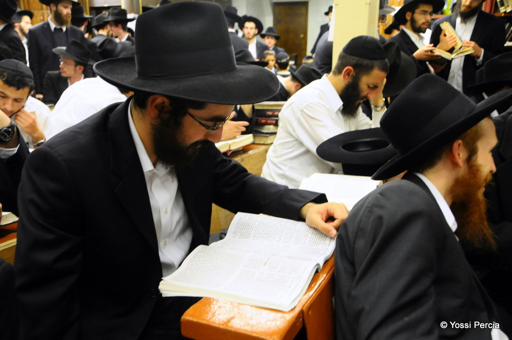אלפי חסידי חב"ד מהארץ עברו להתגורר בברוקלין