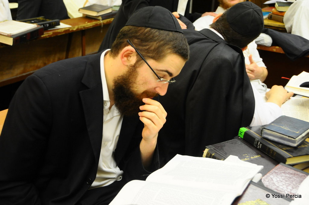 אלפי חסידי חב"ד מהארץ עברו להתגורר בברוקלין