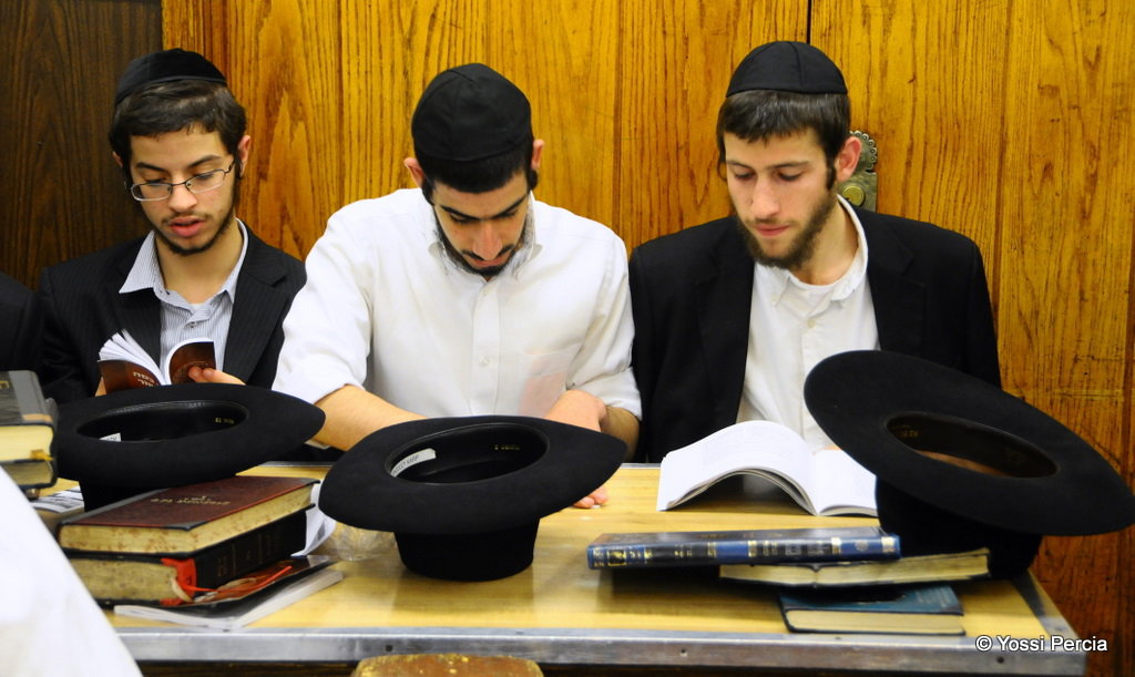 אלפי חסידי חב"ד מהארץ עברו להתגורר בברוקלין