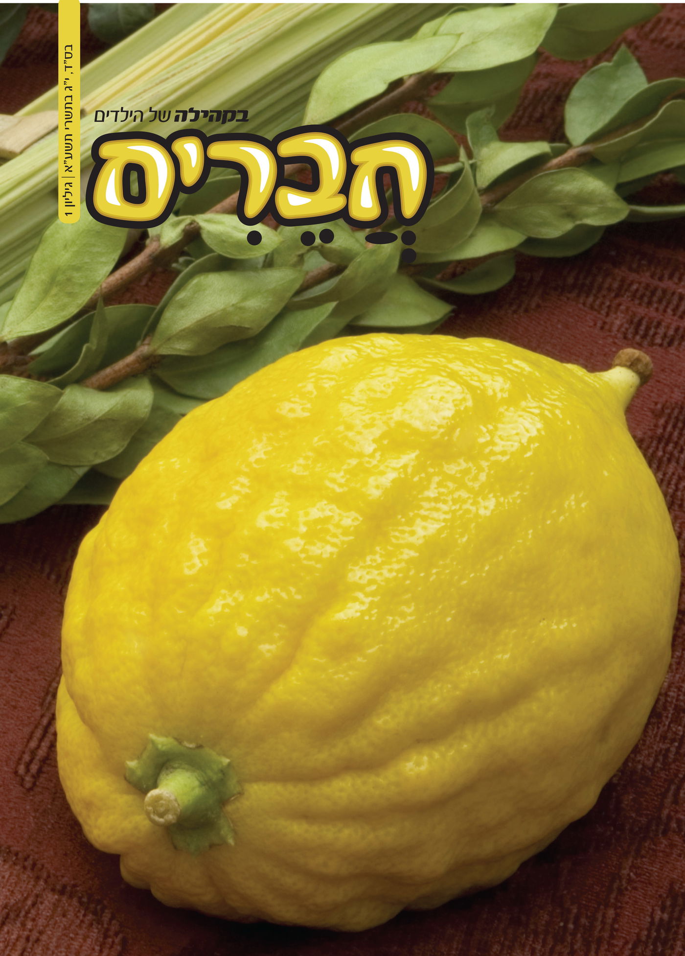 לפני כולם: מה מחכה לכם בשבועונים החרדיים לחג?