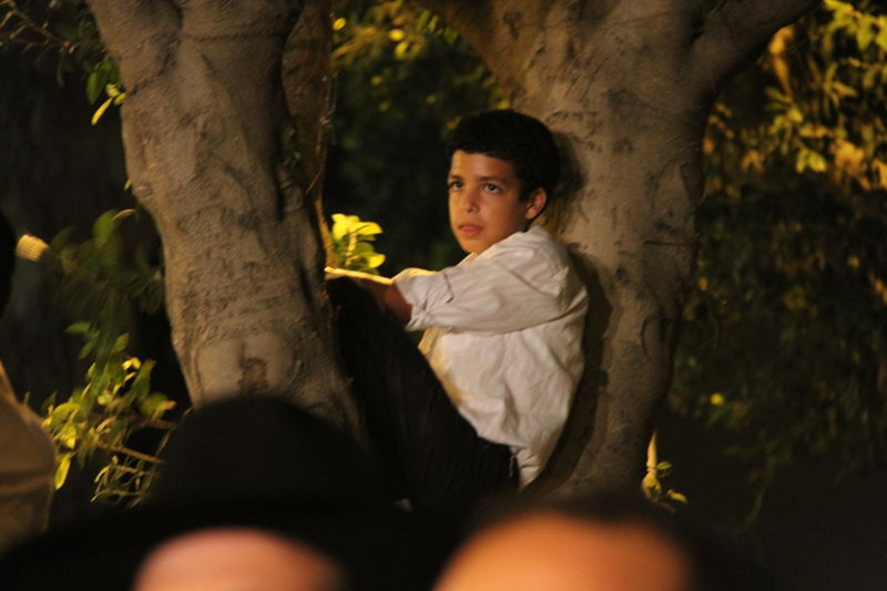 בית השואבה במישקולץ: רבבות ברחוב - וידאו ותיעוד ענק