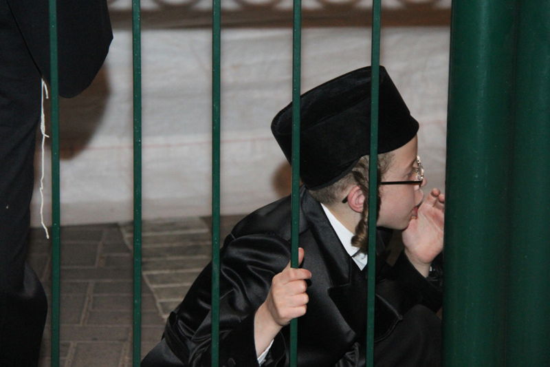 בית השואבה במישקולץ: רבבות ברחוב - וידאו ותיעוד ענק