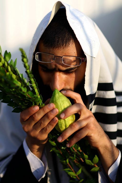מדריך "כיכר השבת" לחג: מאות ארועים ברחבי הארץ