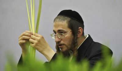 תוכן גולשים: מעשה בארבעת-המינים וארבעה דוכנים