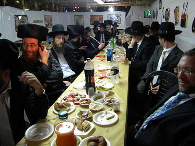 אחדות נדירה בדגל התורה: בכירים וזוטרים בסוכה אחת