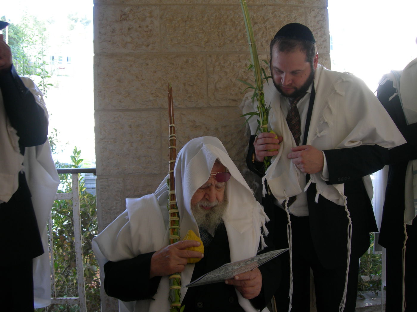 מראות קודש: מרן הגר"ע מנענע את ארבעת המינים