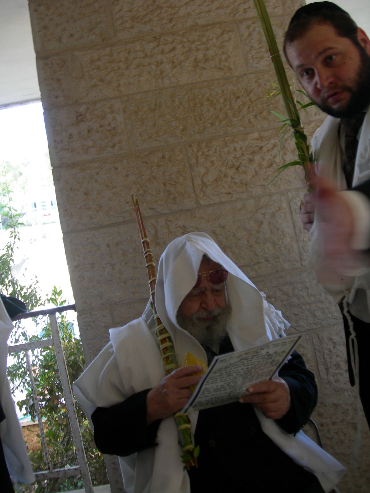 מראות קודש: מרן הגר"ע מנענע את ארבעת המינים