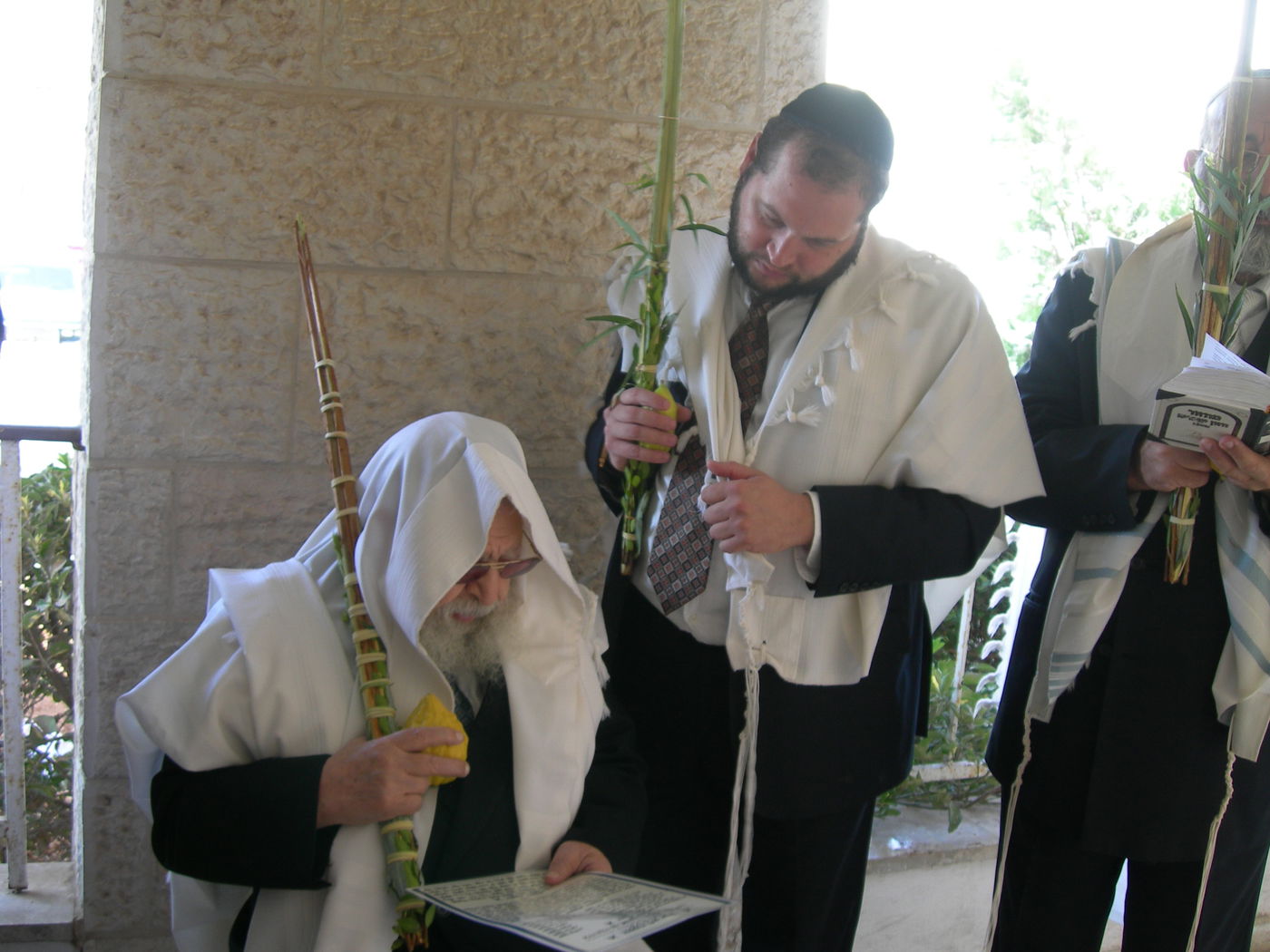 מראות קודש: מרן הגר"ע מנענע את ארבעת המינים