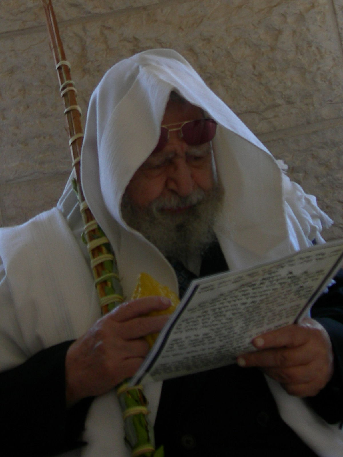 מראות קודש: מרן הגר"ע מנענע את ארבעת המינים