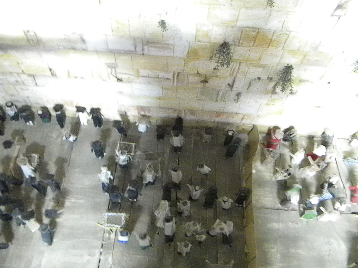 אל תפספסו: "סוכות הפלא" בירושלים