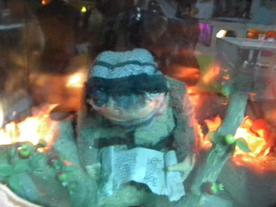 אל תפספסו: "סוכות הפלא" בירושלים