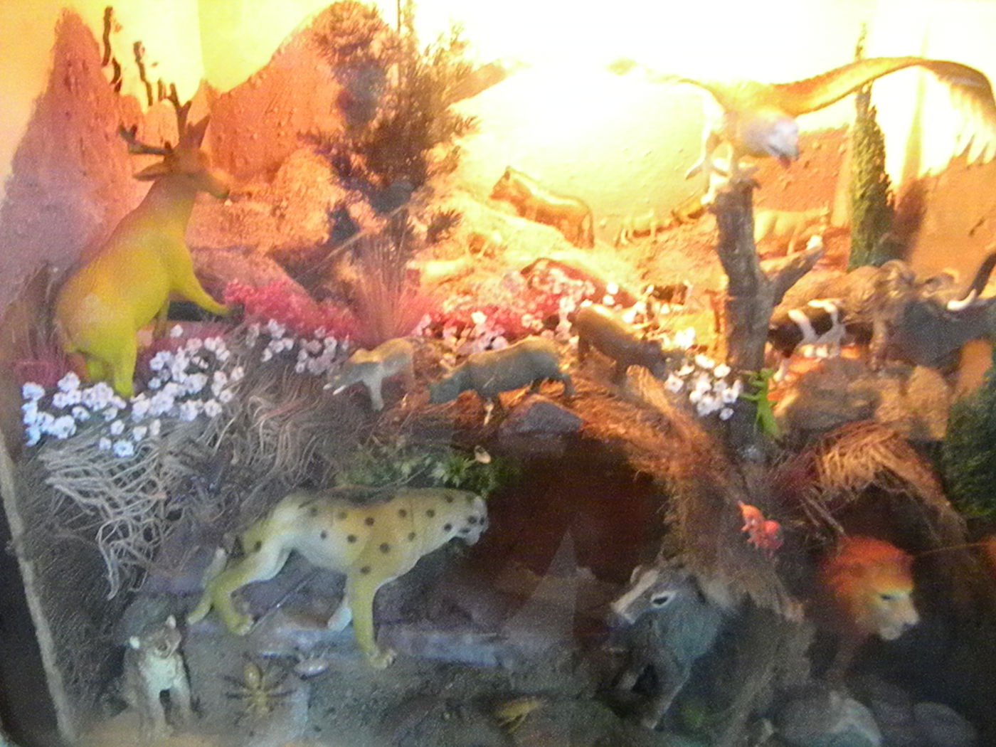 אל תפספסו: "סוכות הפלא" בירושלים