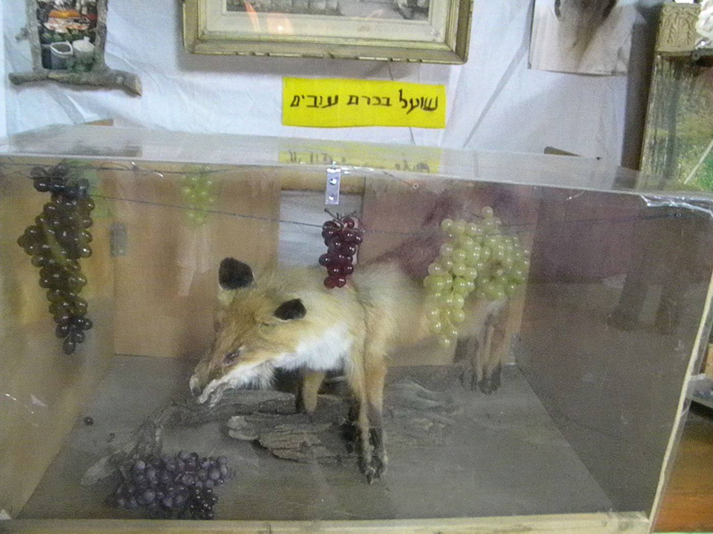 אל תפספסו: "סוכות הפלא" בירושלים