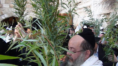 יום אחרון של סוכות בכותל: "הושענא רבה" של רבבות