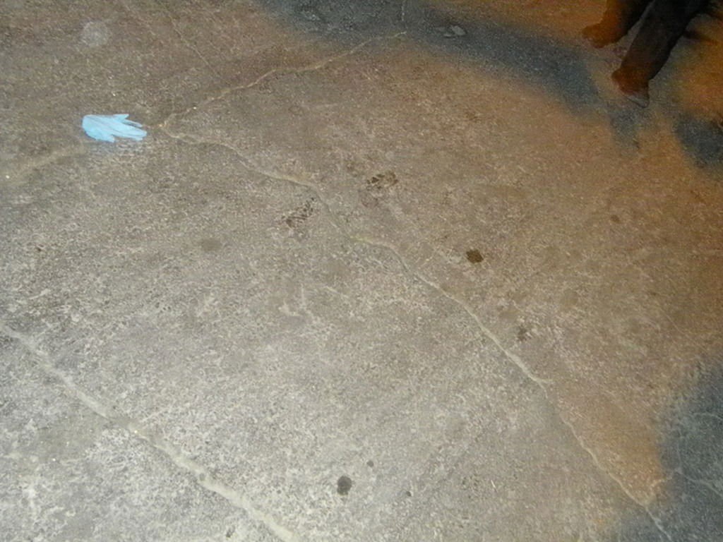 תיעוד לילי ממקור ברוך: "אנחנו בהלם"