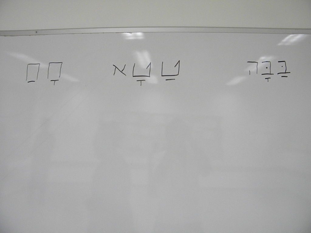 צמרת ויז´ניץ בחנוכת החיידר בברכפלד