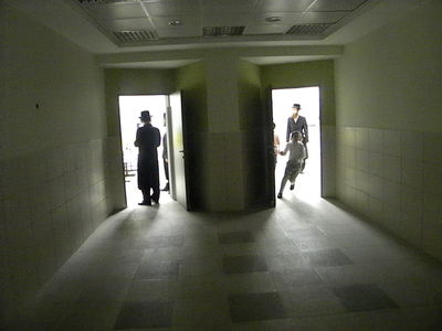 צמרת ויז´ניץ בחנוכת החיידר בברכפלד