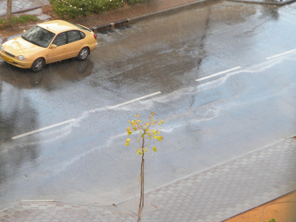 צפו בתמונות רטובות: גשם ראשון השנה
