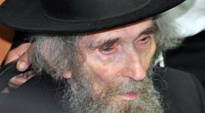 הגראי"ל שטיינמן