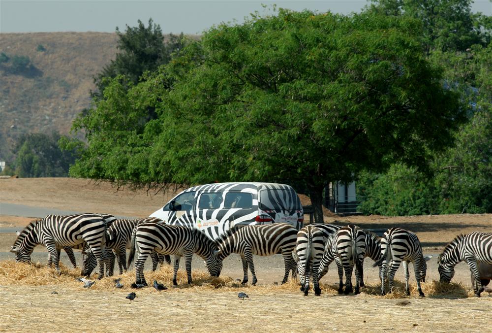 לכל בריה ובריה די מחסורה