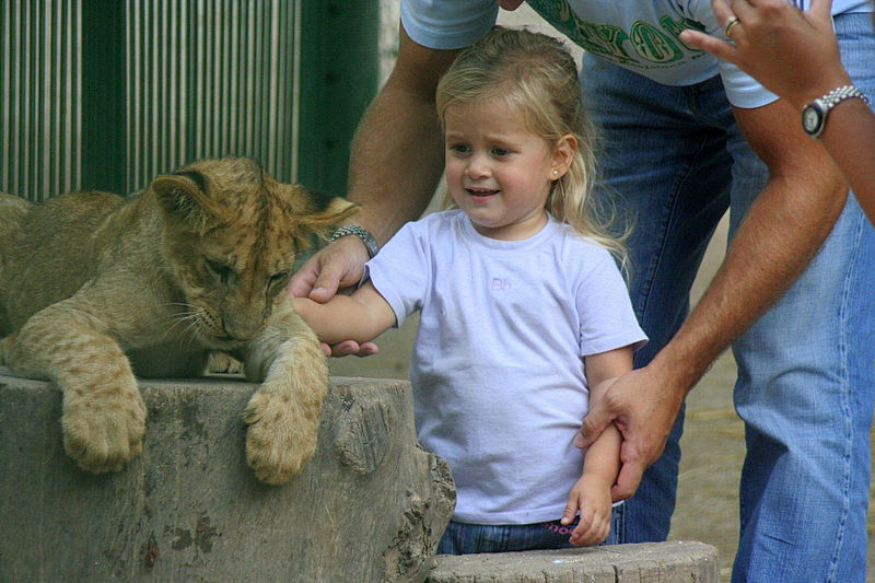עוצר נשימה: תיעוד מרהיב מהמפלים הגדולים בעולם