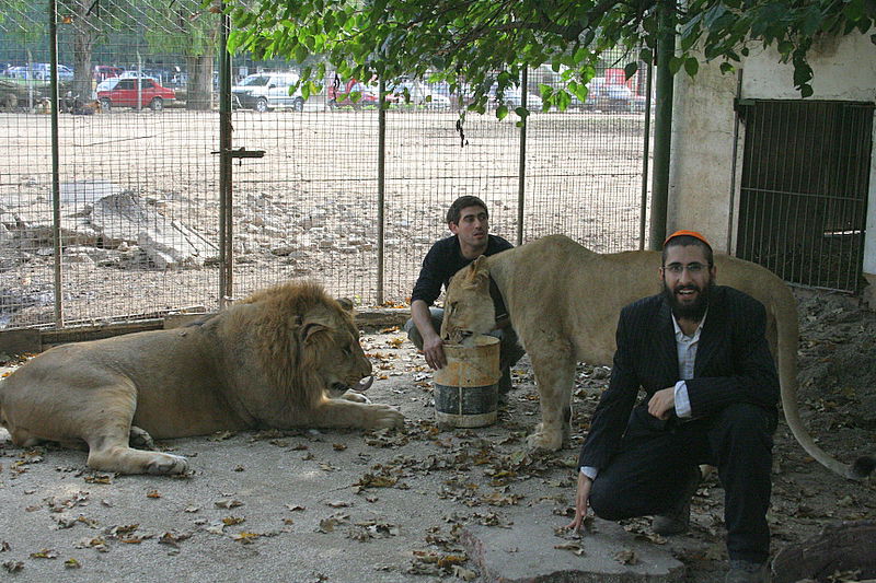 עוצר נשימה: תיעוד מרהיב מהמפלים הגדולים בעולם