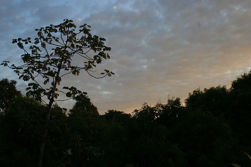 עוצר נשימה: תיעוד מרהיב מהמפלים הגדולים בעולם