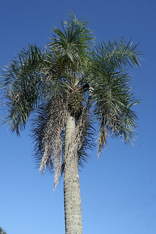 עוצר נשימה: תיעוד מרהיב מהמפלים הגדולים בעולם