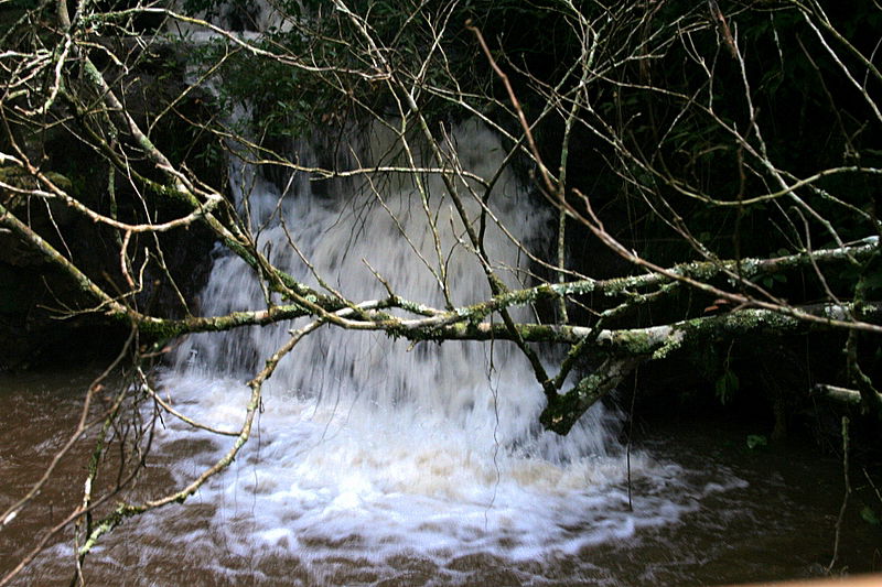 עוצר נשימה: תיעוד מרהיב מהמפלים הגדולים בעולם