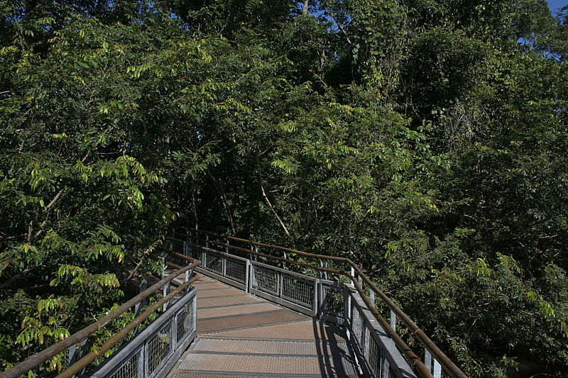 עוצר נשימה: תיעוד מרהיב מהמפלים הגדולים בעולם