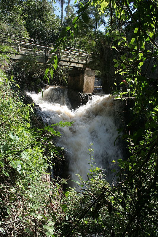 עוצר נשימה: תיעוד מרהיב מהמפלים הגדולים בעולם