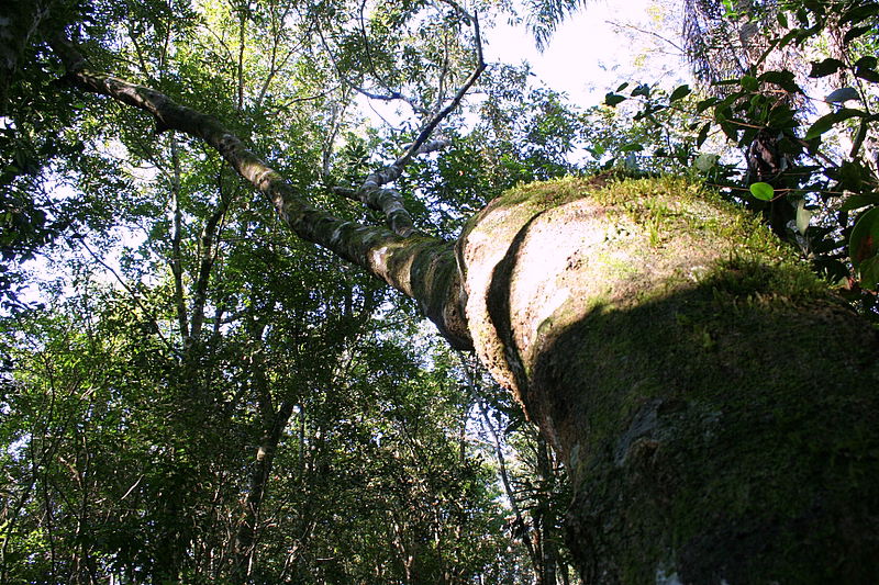 עוצר נשימה: תיעוד מרהיב מהמפלים הגדולים בעולם