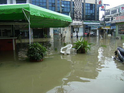 בית-חב"ד בקוסמי הוצף; מנות מזון נשלחו ללכודים