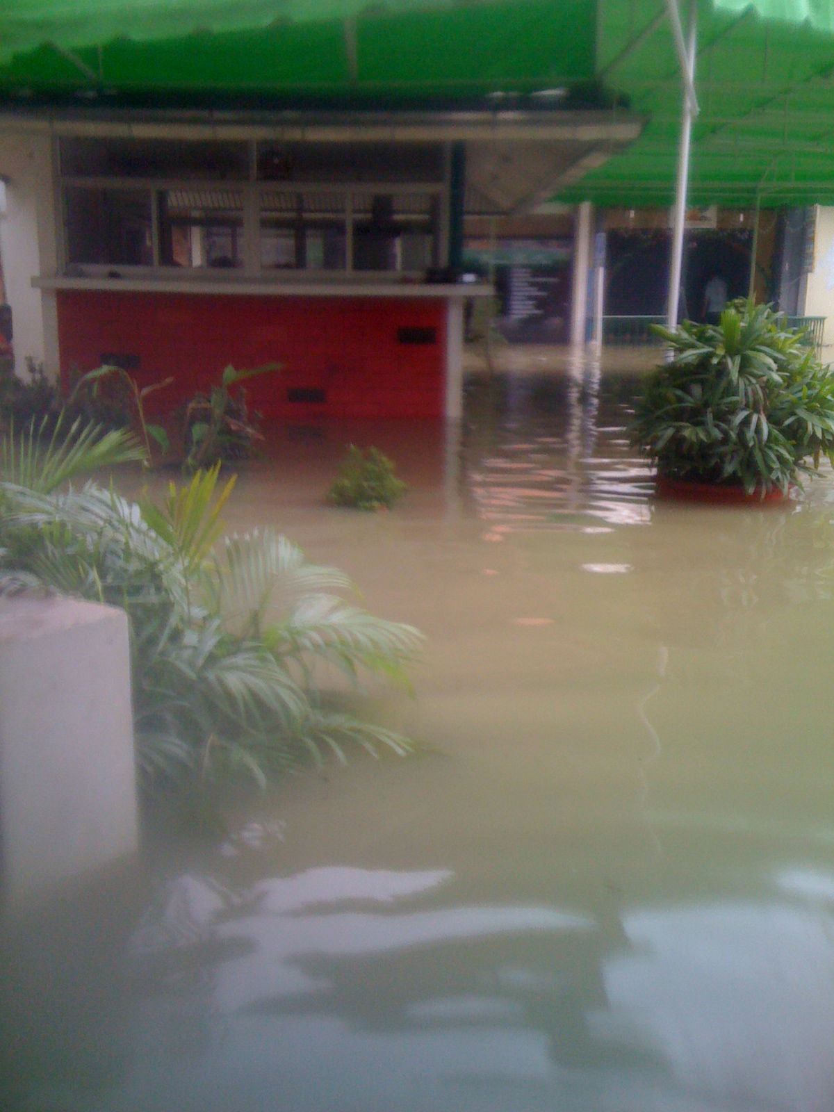 בית-חב"ד בקוסמי הוצף; מנות מזון נשלחו ללכודים