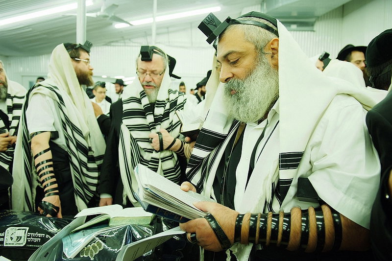אירוע עוצמתי בציון הרבי: אלפי שלוחיו נשאו תפילה