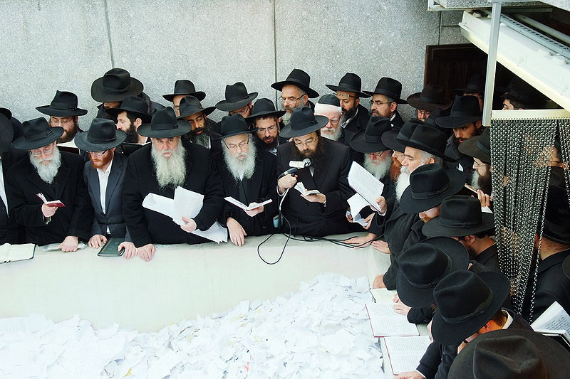 צילומים: ברוך עזאגווי, אתר COL