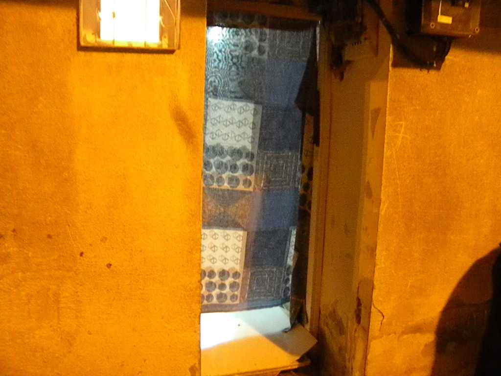 הכירו את "דור העתיד" של הסיקריקים: ילדים בני 12