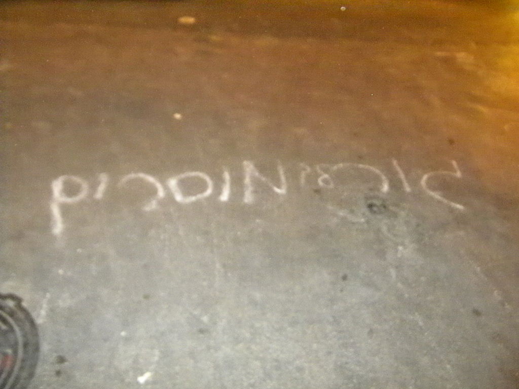 הכירו את "דור העתיד" של הסיקריקים: ילדים בני 12