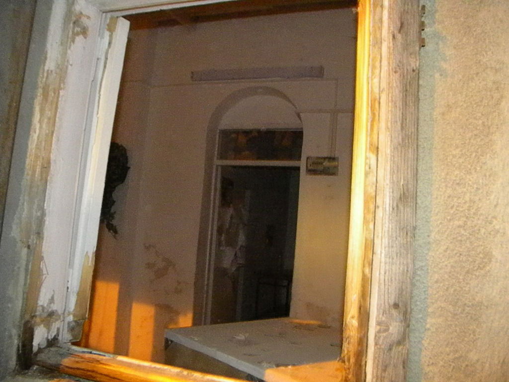 הכירו את "דור העתיד" של הסיקריקים: ילדים בני 12