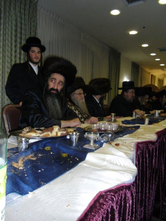 ברינה יגילו