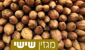 מתכון לבטטות בתנור