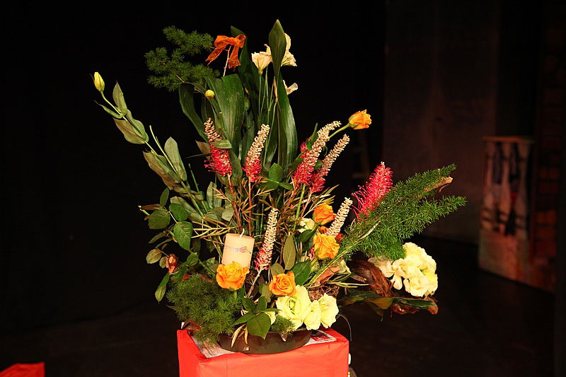 עיצובים וצבעים: צפו בתערוכה מרהיבה