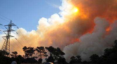 השריפה בכרמל