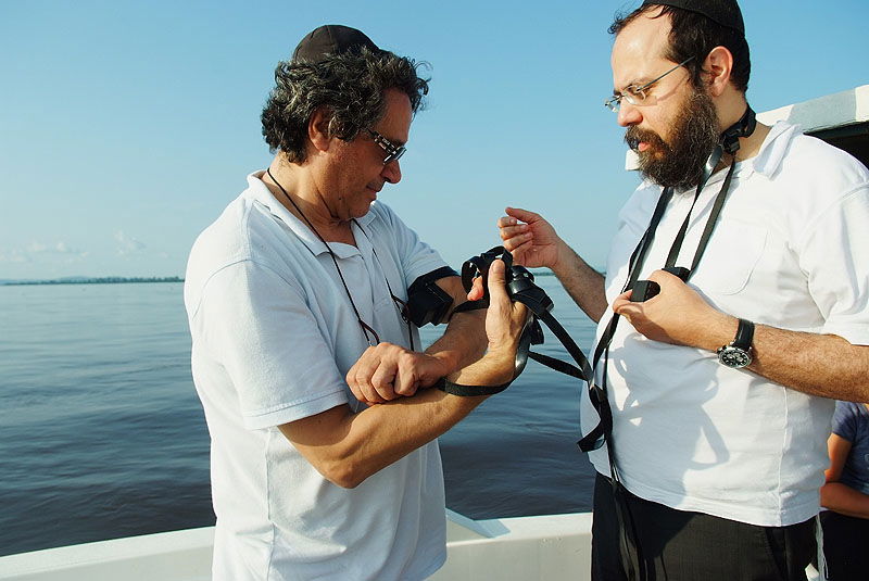 קונגו, כמו שלא ראיתם