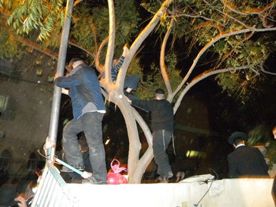 חסידיו של הרב ברלנד יצאו לרחוב: "די לשלטון הפחד"