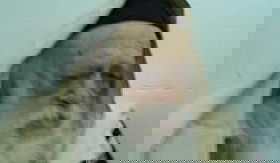 הגר"ח קנייבסקי