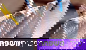 ישראל מייבשת: טיפים לייבוש כביסה בחורף