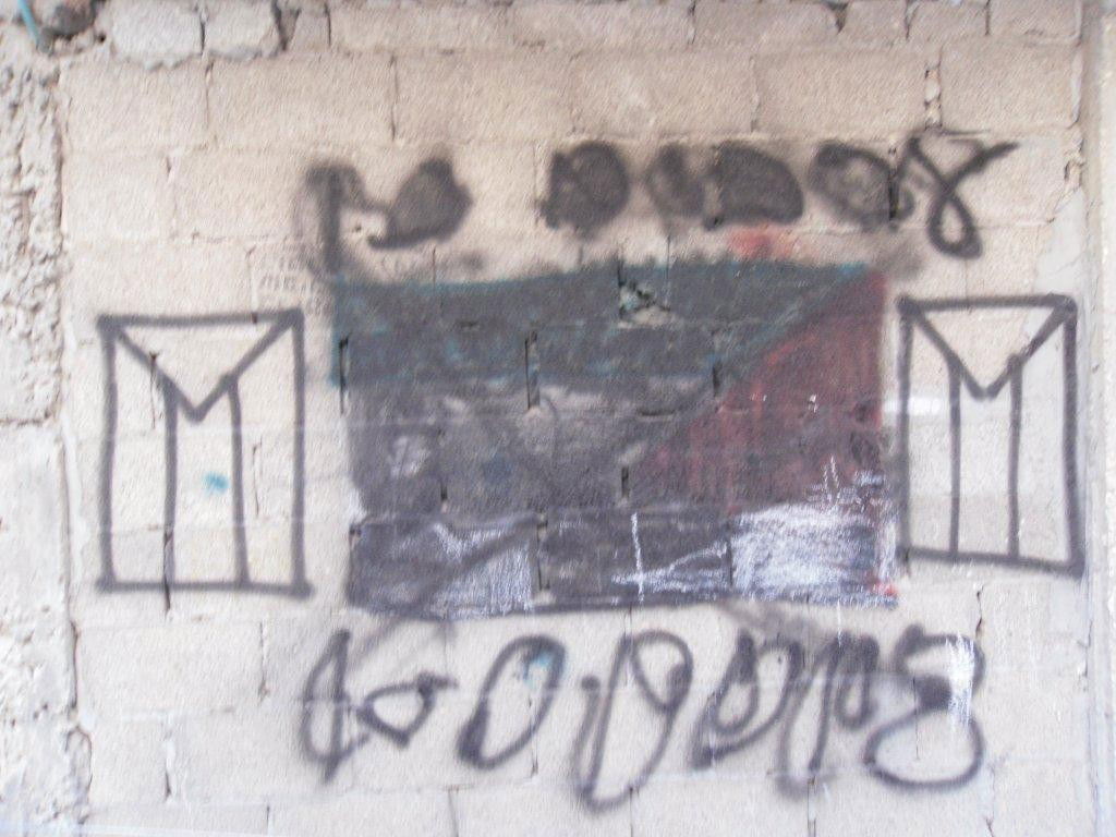 מנקים את מאה שערים מדגלי פלסטין - תמונות