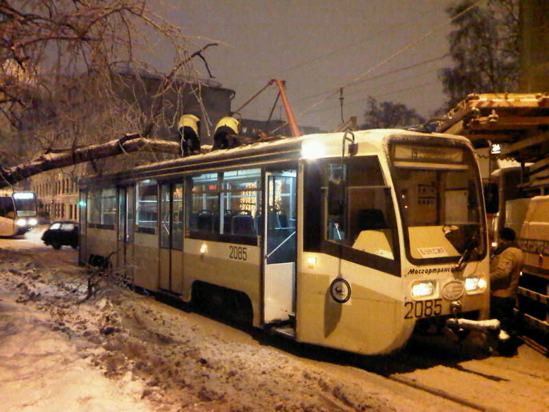 תיעוד מצולם: עץ קרס, בנס אין נפגעים