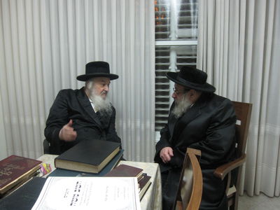 ביקור גומלין: האדמו"רים מדעעש וסאטמר